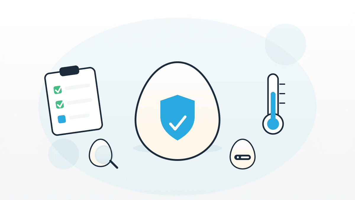 Illustration zum Umgang mit rohen Eiern mit Ei, Schutzschild, Checkliste, Thermometer und Eierstempel im QMSpot-Look.